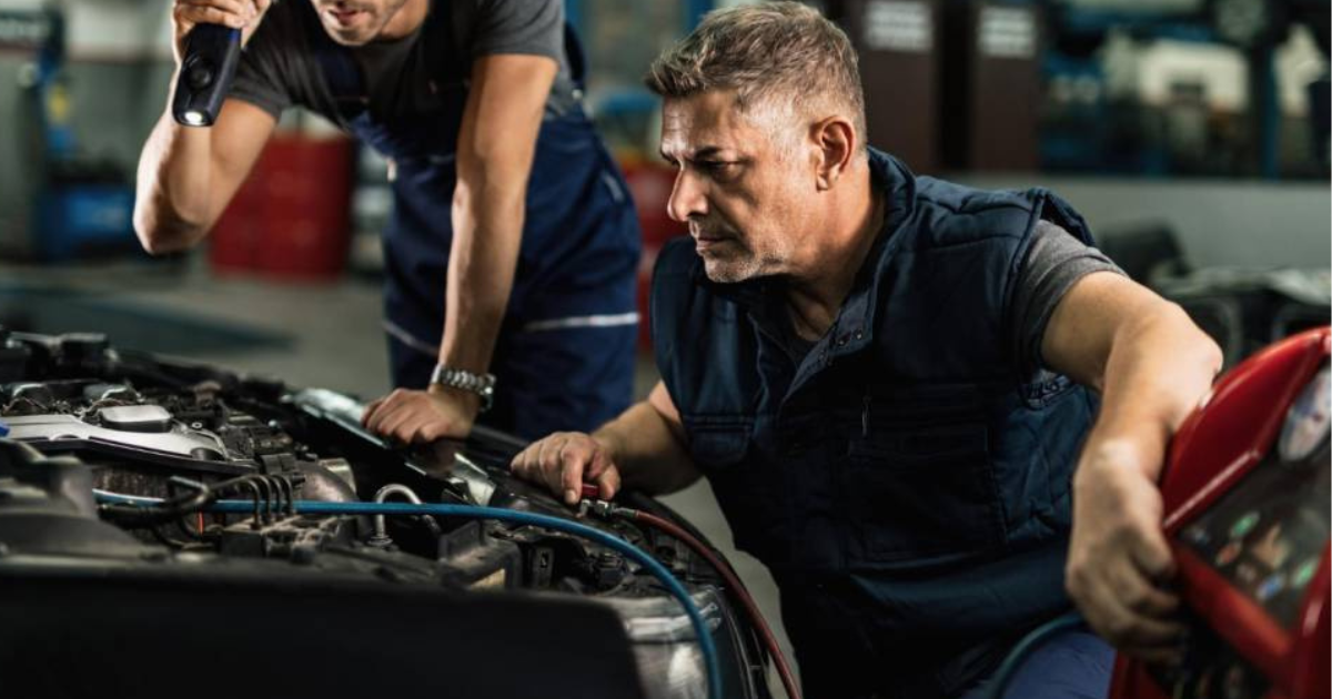 Untitled design (14)